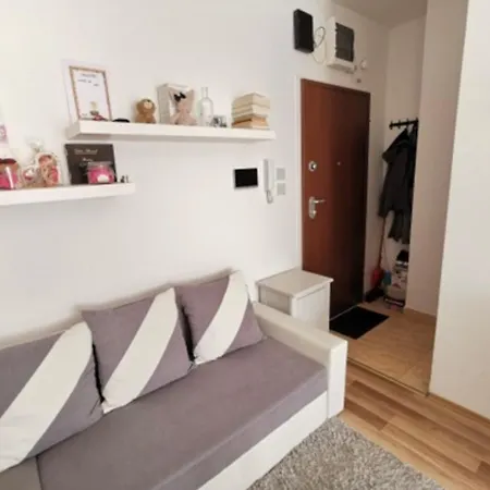 Summer Near The Danube